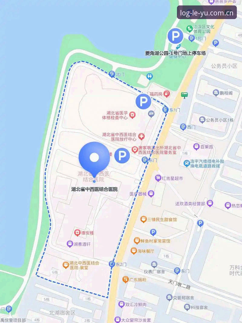 乐鱼体育平台使用教程与真实体验分享：从注册到日常操作的完整指南